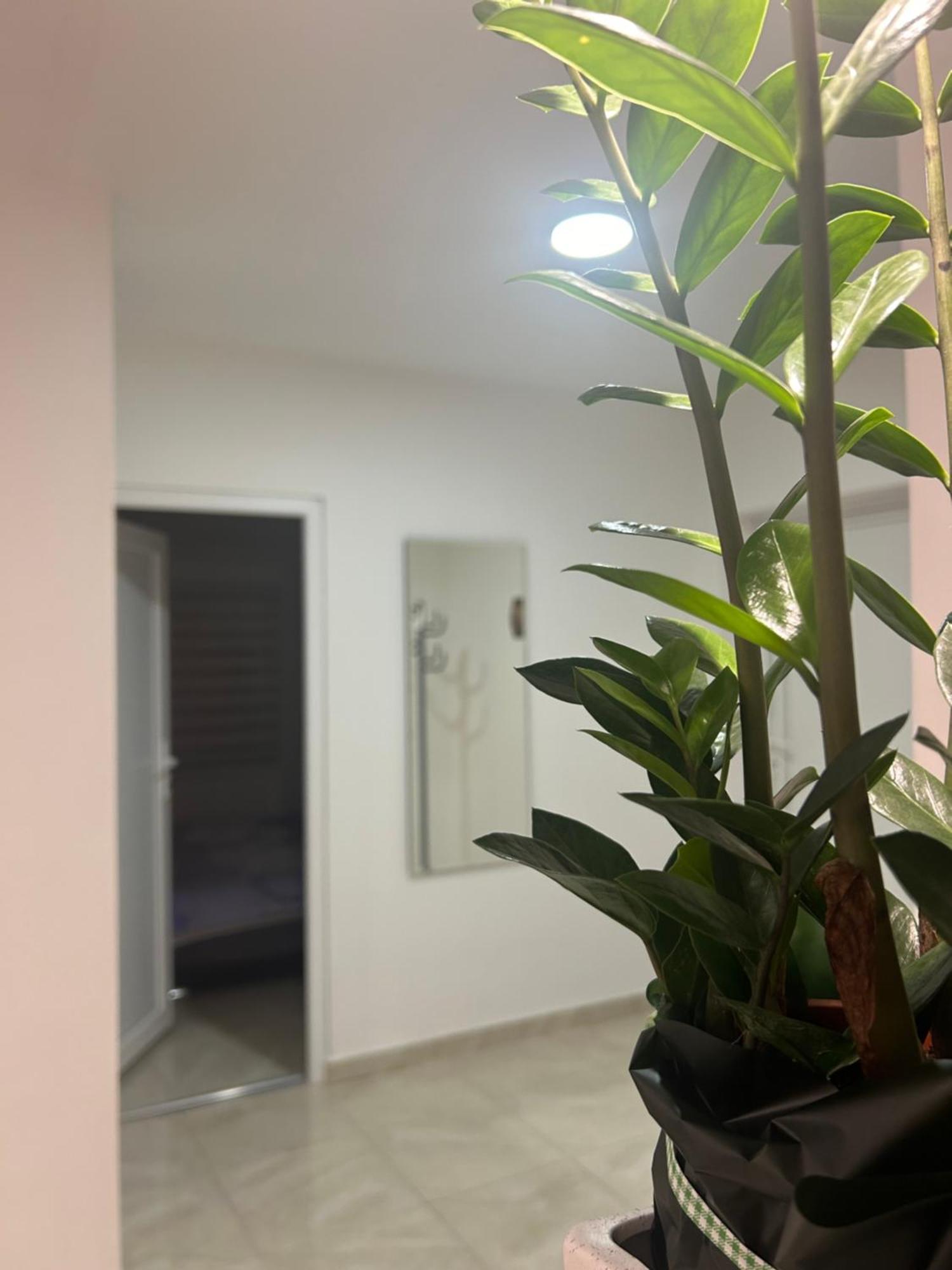 Apartman Diamond Lux Surčin Esterno foto