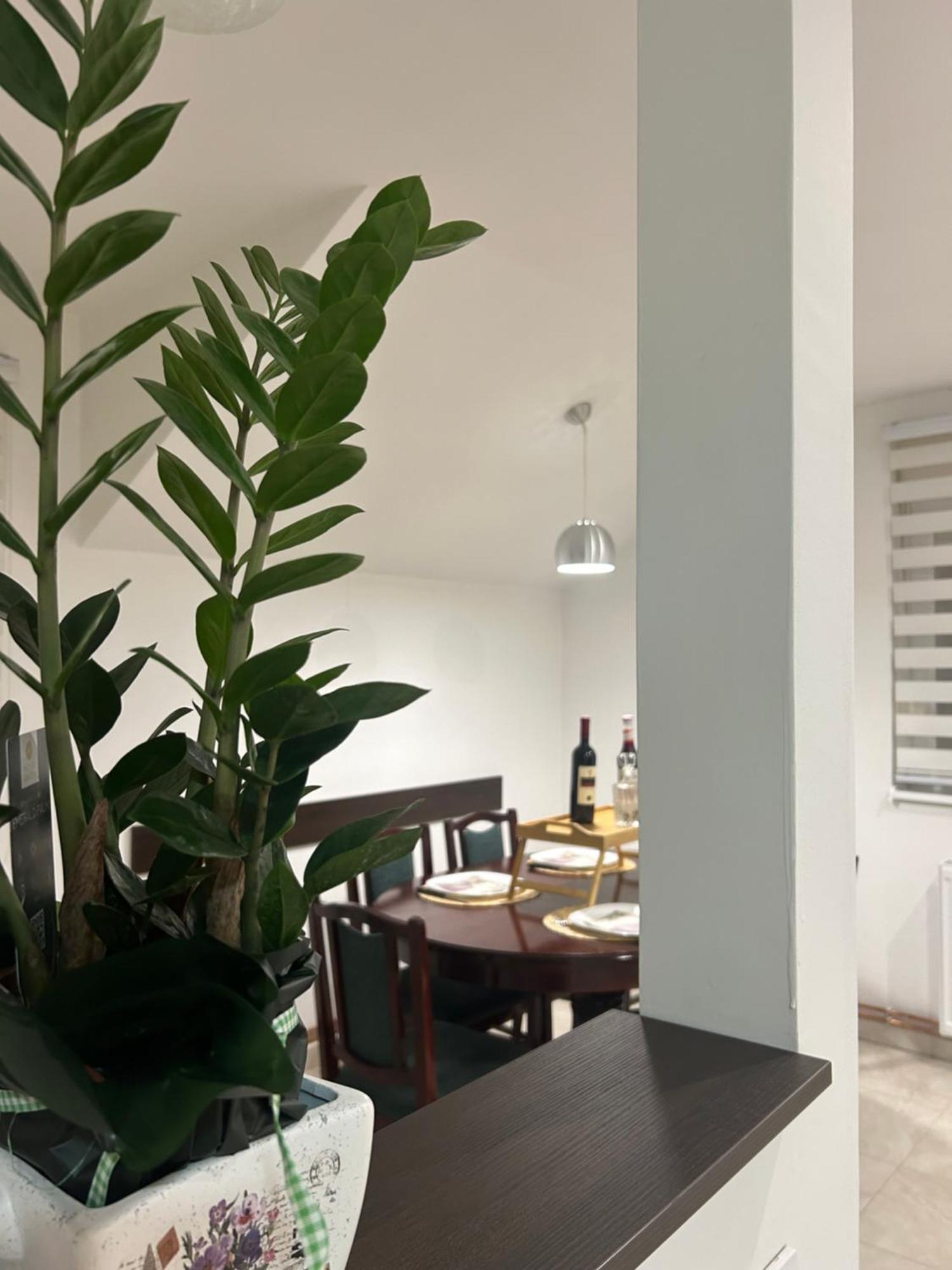 Apartman Diamond Lux Surčin Esterno foto