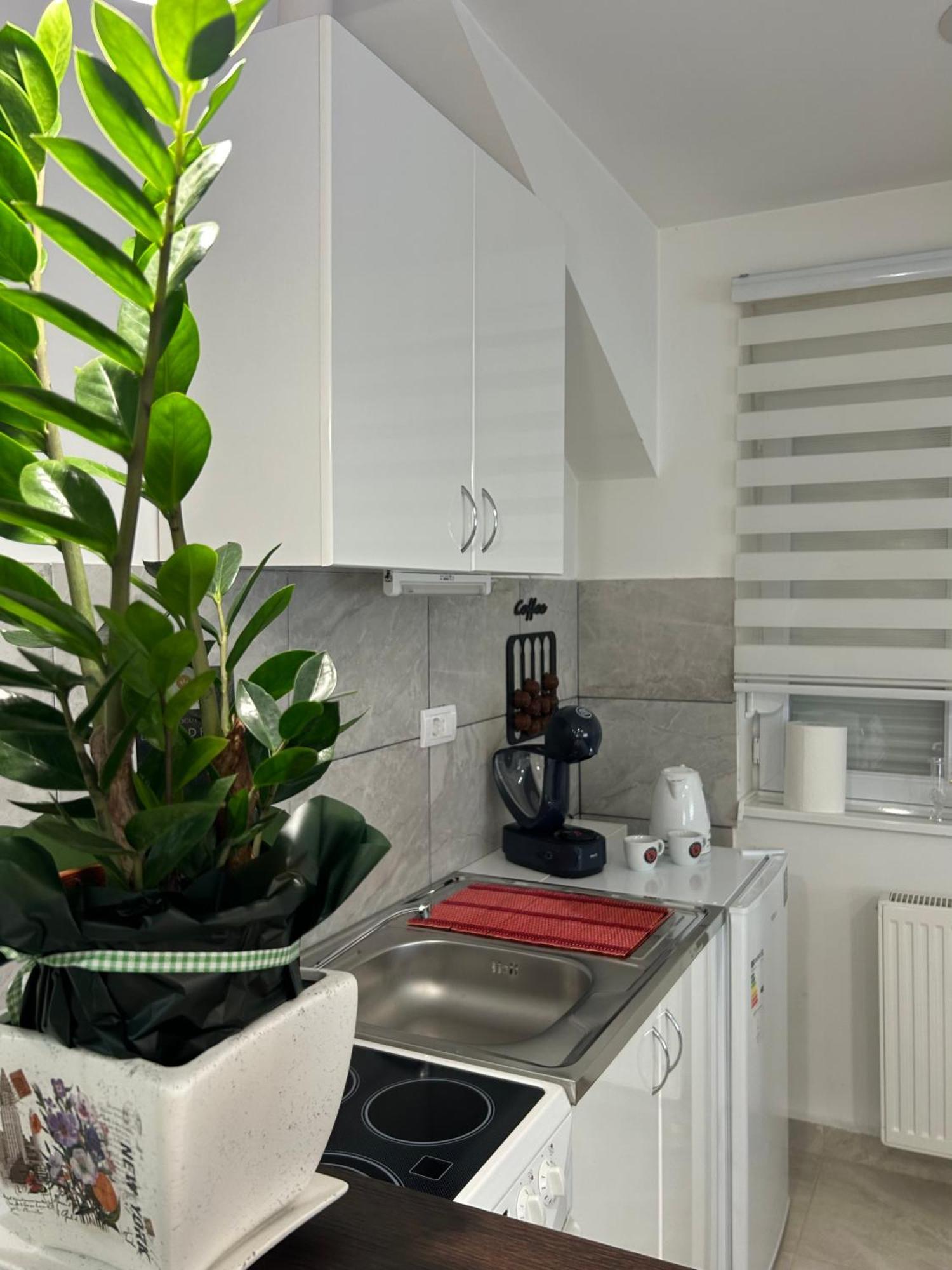 Apartman Diamond Lux Surčin Esterno foto